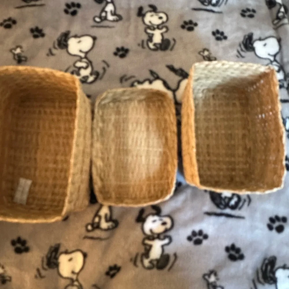 IKEA Natural Woven storage Baskets Set of 2